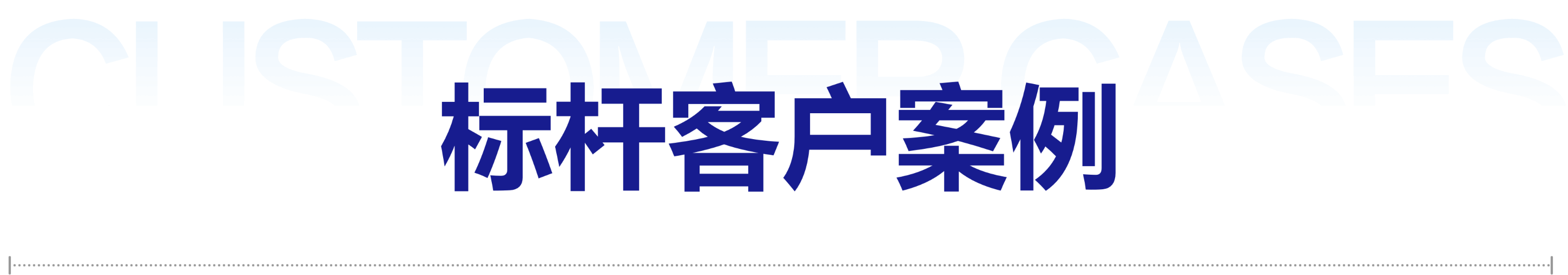 标杆客户案例